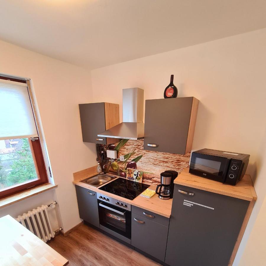 1,5 Zimmer Apartment mit traumhafter Aussicht Bad Kissingen Exterior foto
